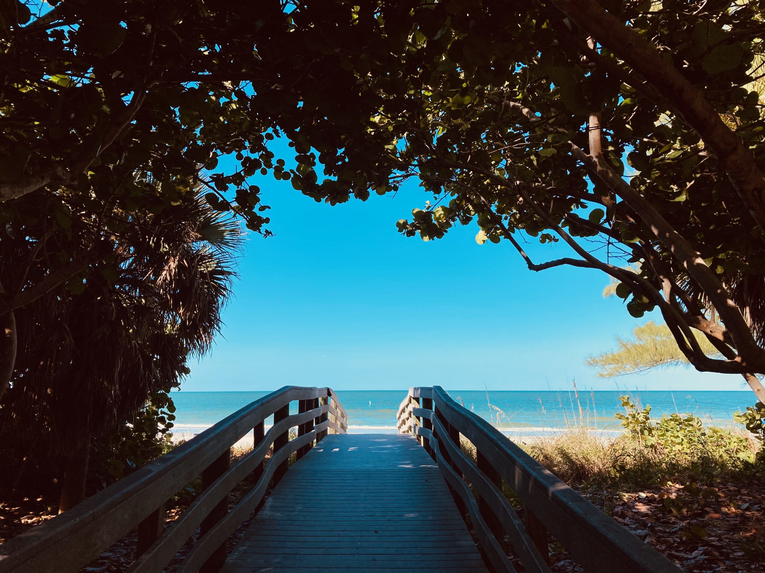 Rediscover Florida - Westchase WOW