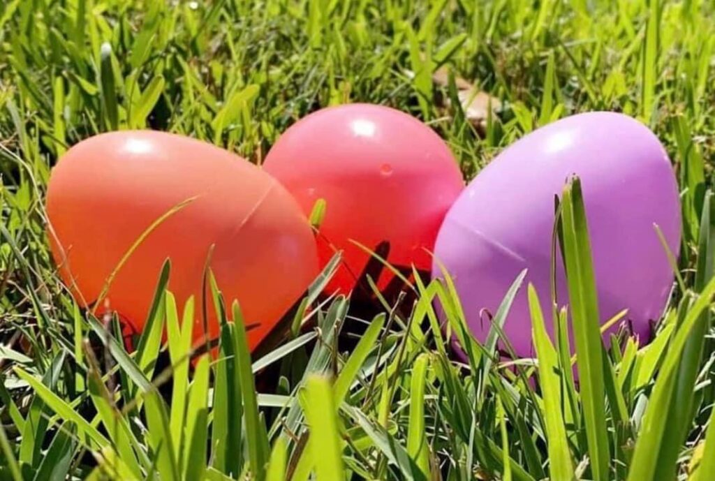 Egg Hunt