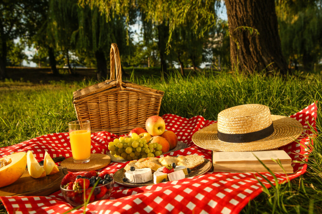 Picnic blanket with delicious food and juice in park
